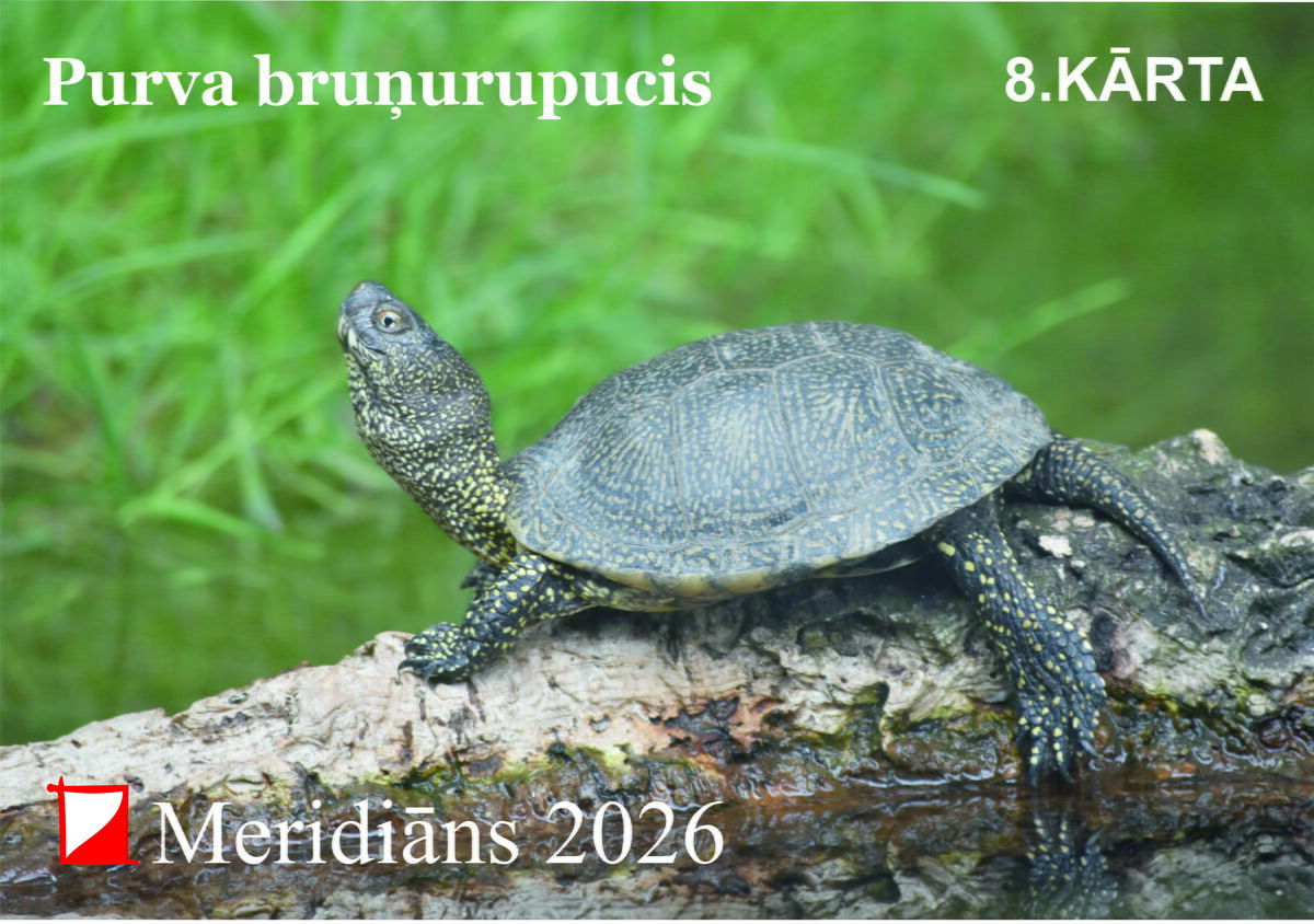 Meridiāns 2026
