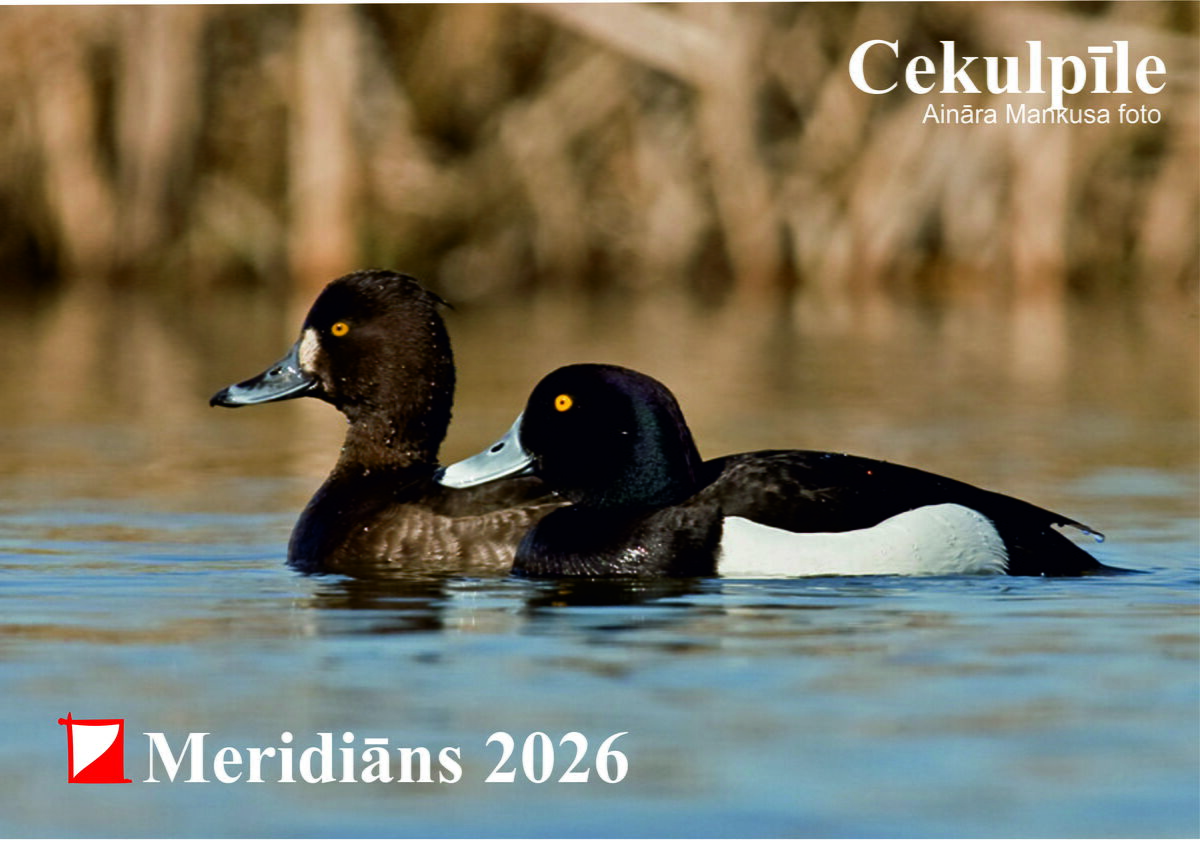Meridiāns 2026
