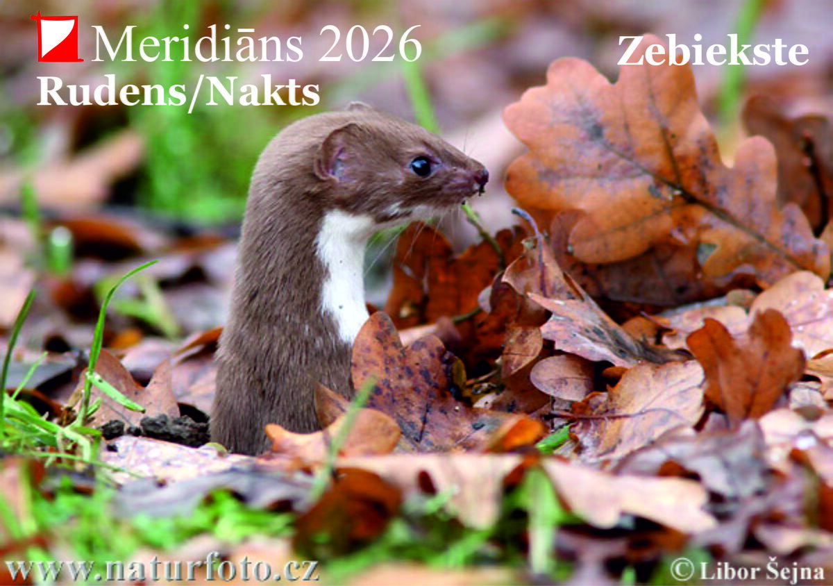 Meridiāns 2026